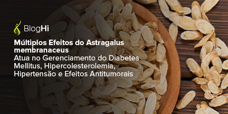 Múltiplos Efeitos do Astragalus membranaceus  Atua no Gerenciamento do Diabetes Mellitus, Hipercolesterolemia, Hipertensão e Efeitos Antitumorais