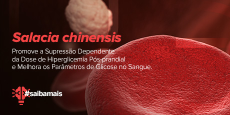 Salacia chinensis  Promove a Supressão Dependente da Dose de Hiperglicemia Pós-prandial e Melhora os Parâmetros de Glicose no Sangue